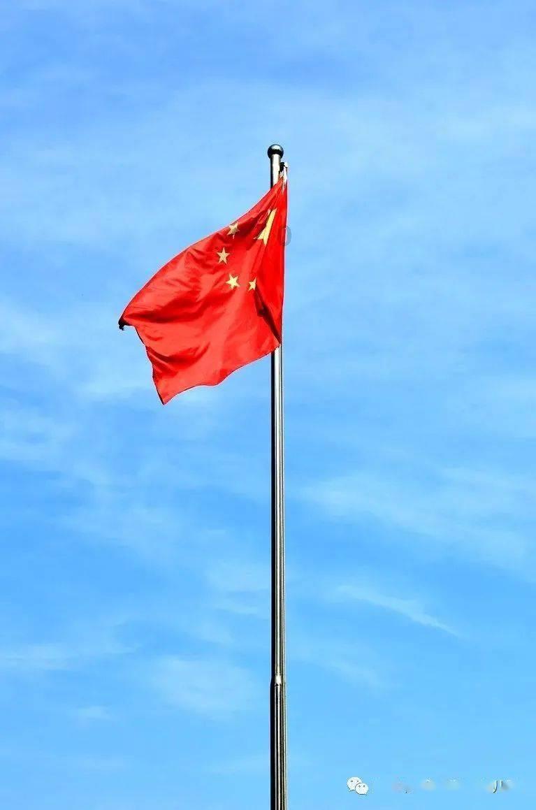 植物大战僵尸3